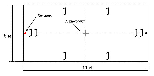 Рис. 1. План крокетной площадки (один из возможных вариантов)