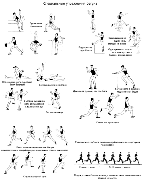 Специальные упражнения бегуна